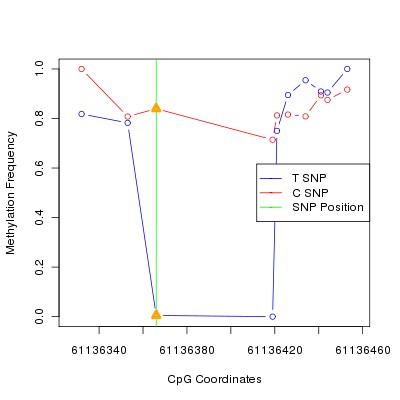 Allele Specific Methylation Frequency Diagram for chr20 61136366 SNP.