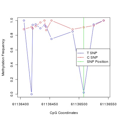 Allele Specific Methylation Frequency Diagram for chr20 61136508 SNP.