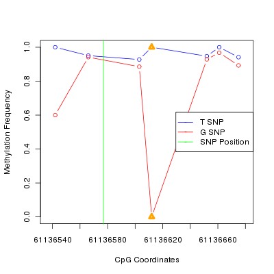 Allele Specific Methylation Frequency Diagram for chr20 61136577 SNP.