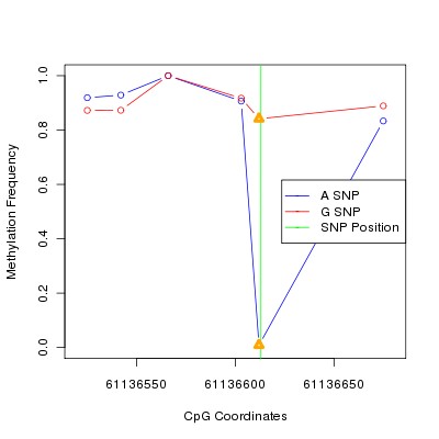 Allele Specific Methylation Frequency Diagram for chr20 61136613 SNP.