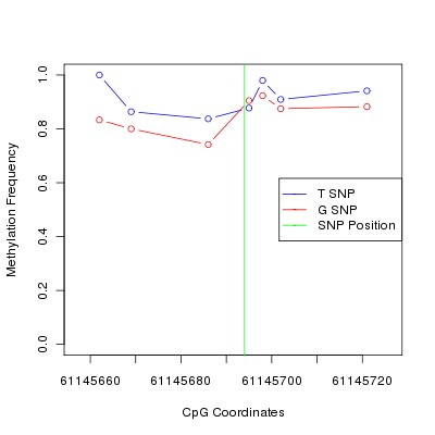 Allele Specific Methylation Frequency Diagram for chr20 61145694 SNP.