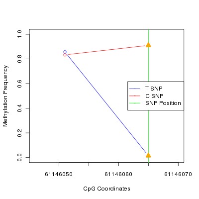 Allele Specific Methylation Frequency Diagram for chr20 61146065 SNP.