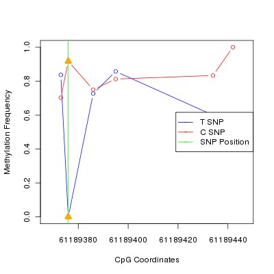 Allele Specific Methylation Frequency Diagram for chr20 61189376 SNP.