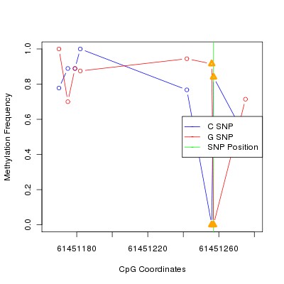 Allele Specific Methylation Frequency Diagram for chr20 61451257 SNP.