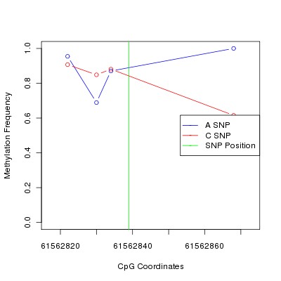 Allele Specific Methylation Frequency Diagram for chr20 61562839 SNP.