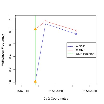 Allele Specific Methylation Frequency Diagram for chr20 61567914 SNP.