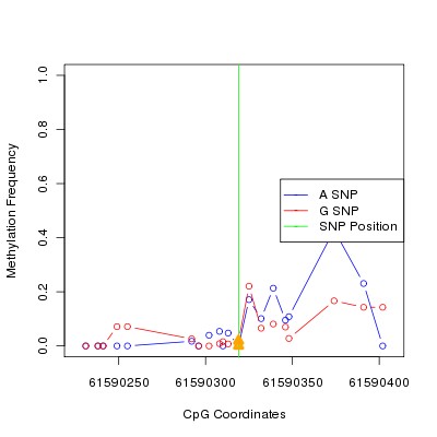 Allele Specific Methylation Frequency Diagram for chr20 61590319 SNP.