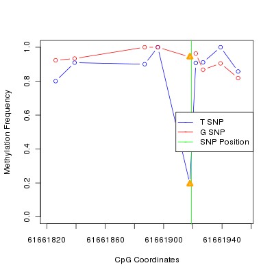 Allele Specific Methylation Frequency Diagram for chr20 61661919 SNP.