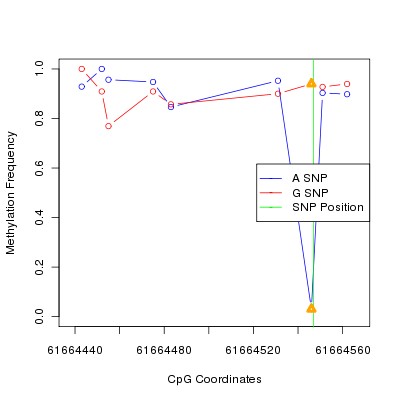 Allele Specific Methylation Frequency Diagram for chr20 61664547 SNP.