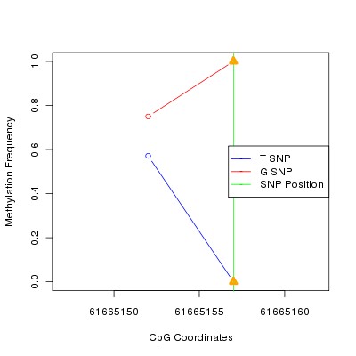 Allele Specific Methylation Frequency Diagram for chr20 61665157 SNP.