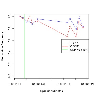 Allele Specific Methylation Frequency Diagram for chr20 61666116 SNP.