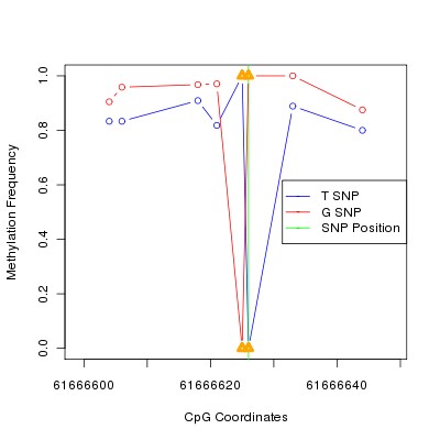 Allele Specific Methylation Frequency Diagram for chr20 61666626 SNP.