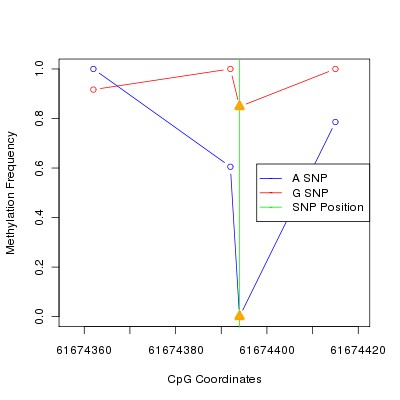 Allele Specific Methylation Frequency Diagram for chr20 61674394 SNP.