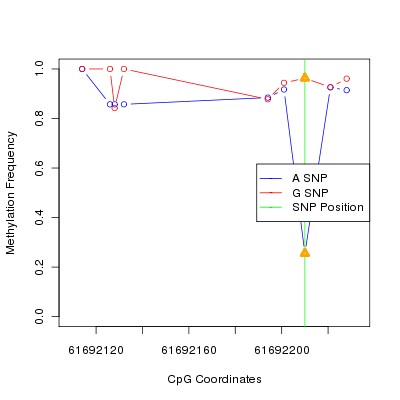 Allele Specific Methylation Frequency Diagram for chr20 61692210 SNP.