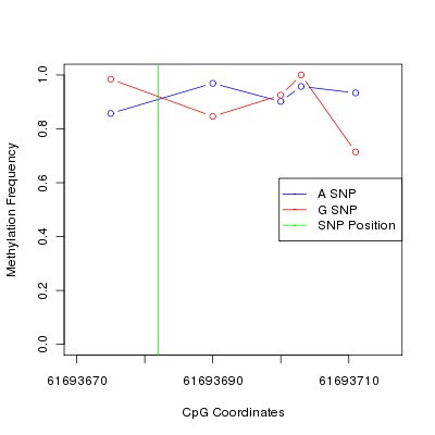 Allele Specific Methylation Frequency Diagram for chr20 61693682 SNP.