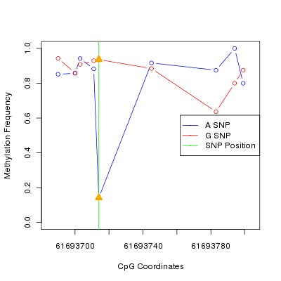 Allele Specific Methylation Frequency Diagram for chr20 61693714 SNP.