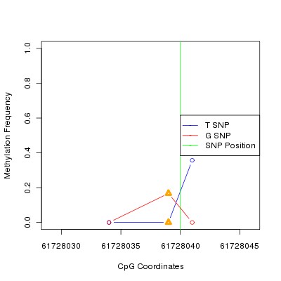 Allele Specific Methylation Frequency Diagram for chr20 61728040 SNP.