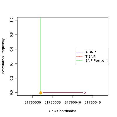 Allele Specific Methylation Frequency Diagram for chr20 61760032 SNP.