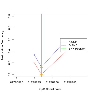 Allele Specific Methylation Frequency Diagram for chr20 61798897 SNP.