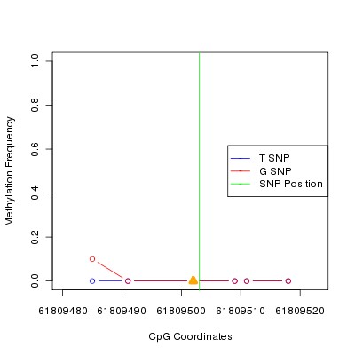 Allele Specific Methylation Frequency Diagram for chr20 61809503 SNP.