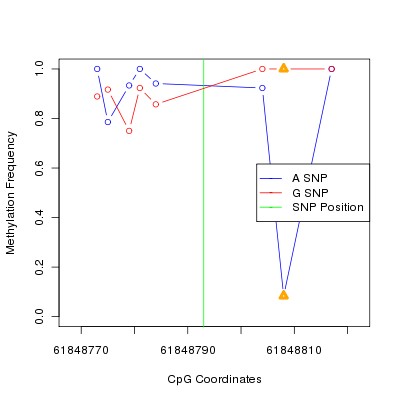 Allele Specific Methylation Frequency Diagram for chr20 61848793 SNP.