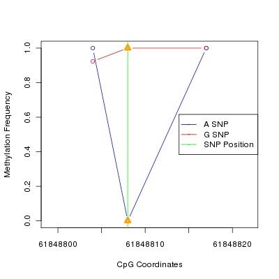 Allele Specific Methylation Frequency Diagram for chr20 61848808 SNP.