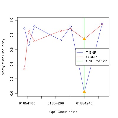 Allele Specific Methylation Frequency Diagram for chr20 61854240 SNP.