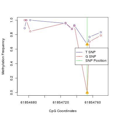 Allele Specific Methylation Frequency Diagram for chr20 61854753 SNP.