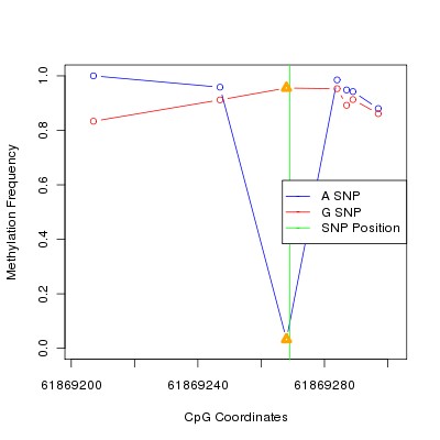 Allele Specific Methylation Frequency Diagram for chr20 61869269 SNP.