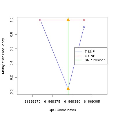Allele Specific Methylation Frequency Diagram for chr20 61869379 SNP.