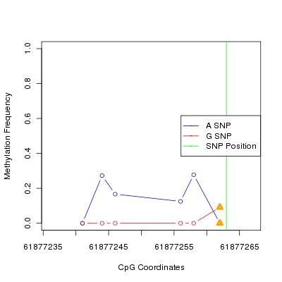 Allele Specific Methylation Frequency Diagram for chr20 61877263 SNP.