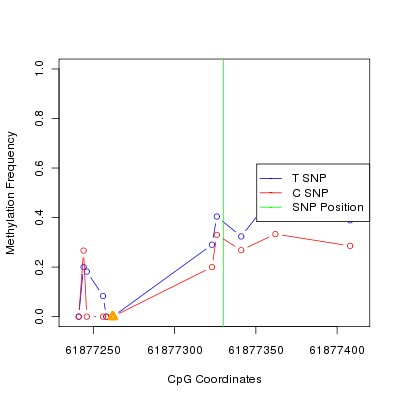 Allele Specific Methylation Frequency Diagram for chr20 61877330 SNP.