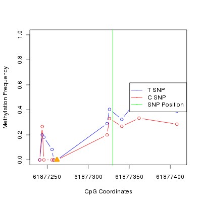 Allele Specific Methylation Frequency Diagram for chr20 61877330 SNP.
