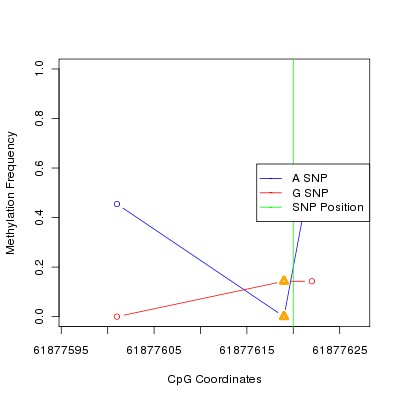 Allele Specific Methylation Frequency Diagram for chr20 61877620 SNP.