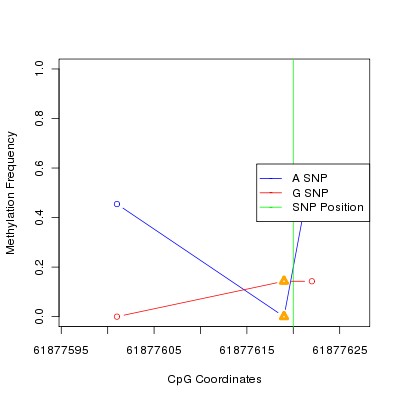 Allele Specific Methylation Frequency Diagram for chr20 61877620 SNP.