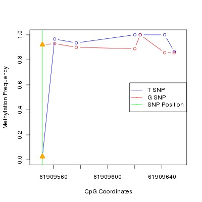 Allele Specific Methylation Frequency Diagram for chr20 61909552 SNP.