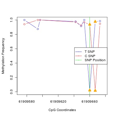 Allele Specific Methylation Frequency Diagram for chr20 61909660 SNP.