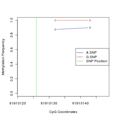 Allele Specific Methylation Frequency Diagram for chr20 61910126 SNP.