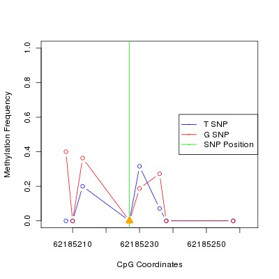 Allele Specific Methylation Frequency Diagram for chr20 62185227 SNP.