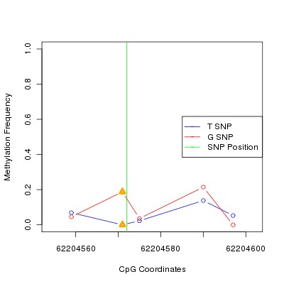 Allele Specific Methylation Frequency Diagram for chr20 62204572 SNP.