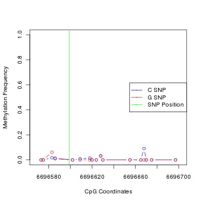 Allele Specific Methylation Frequency Diagram for chr20 6696599 SNP.