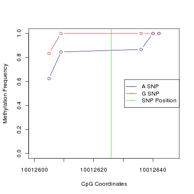 Allele Specific Methylation Frequency Diagram for chr21 10012626 SNP.