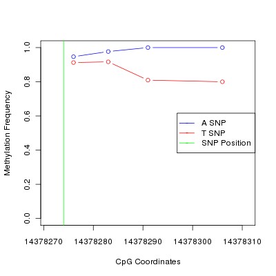Allele Specific Methylation Frequency Diagram for chr21 14378274 SNP.