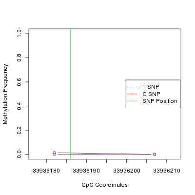 Allele Specific Methylation Frequency Diagram for chr21 33936186 SNP.