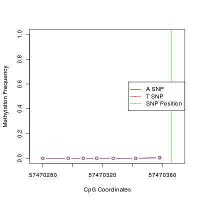 Allele Specific Methylation Frequency Diagram for chr4 57470366 SNP.
