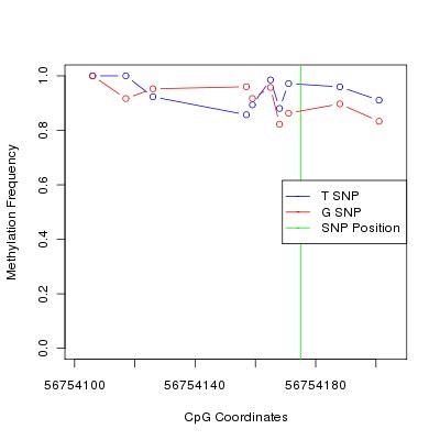 Allele Specific Methylation Frequency Diagram for chr5 56754175 SNP.