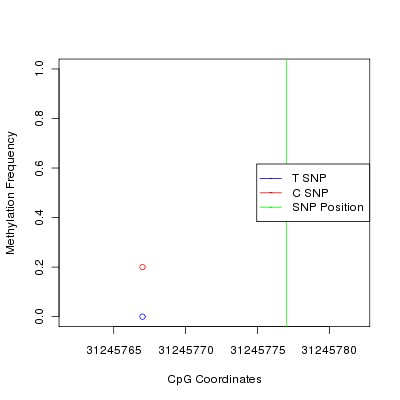 Allele Specific Methylation Frequency Diagram for chr6 31245777 SNP.