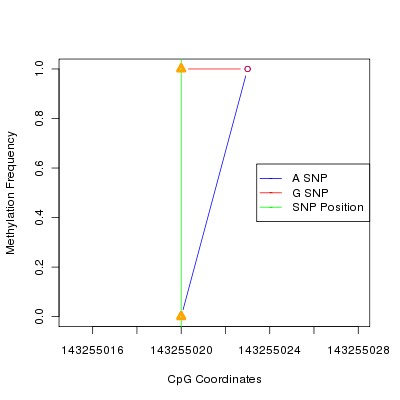 Allele Specific Methylation Frequency Diagram for chr8 143255020 SNP.