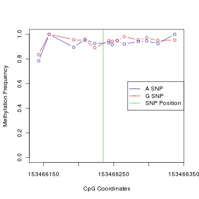 Allele Specific Methylation Frequency Diagram for chrX 153466235 SNP.