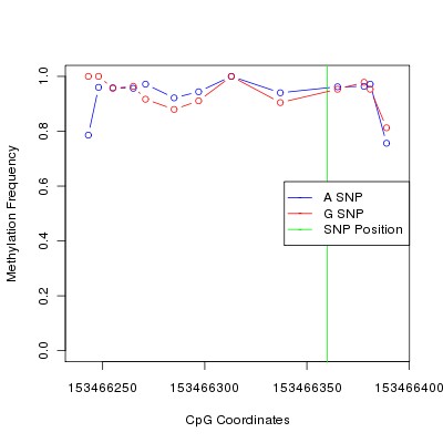 Allele Specific Methylation Frequency Diagram for chrX 153466360 SNP.